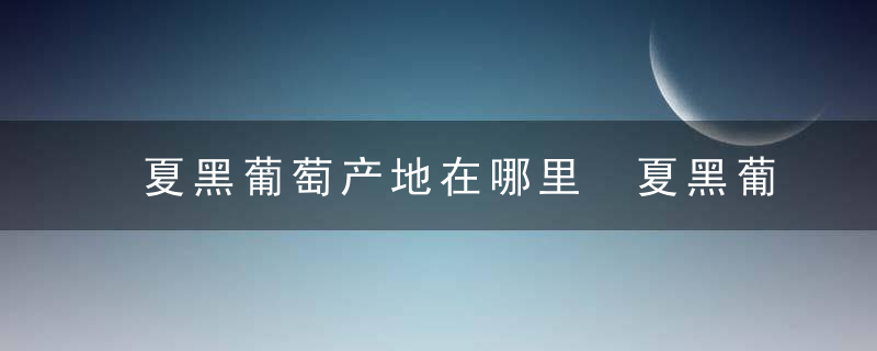 夏黑葡萄产地在哪里 夏黑葡萄的产地是什么地方